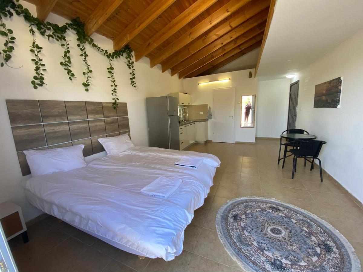 Appartement Adi Arad